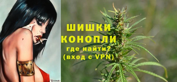 ГАЛЛЮЦИНОГЕННЫЕ ГРИБЫ Вяземский