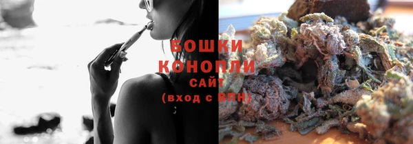 ПСИЛОЦИБИНОВЫЕ ГРИБЫ Вязьма