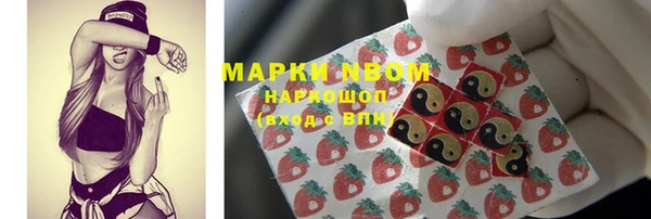 ГАЛЛЮЦИНОГЕННЫЕ ГРИБЫ Вяземский