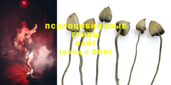 МДПВ Вязники