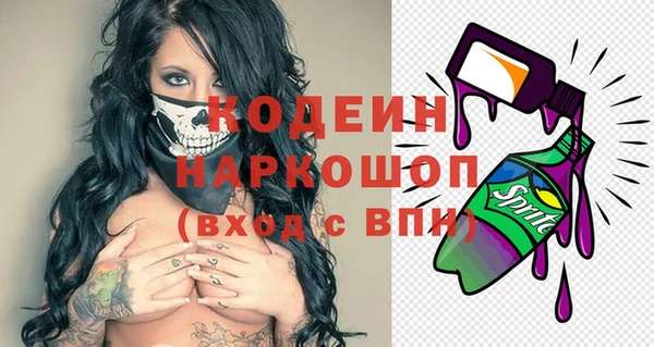 ГАЛЛЮЦИНОГЕННЫЕ ГРИБЫ Вяземский