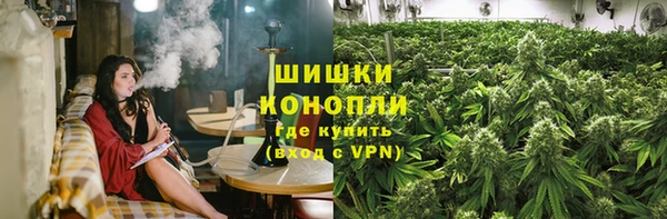 ГАЛЛЮЦИНОГЕННЫЕ ГРИБЫ Вяземский