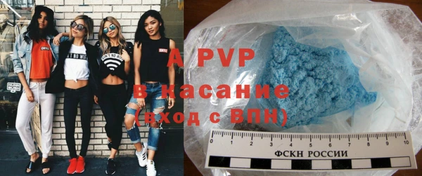 ПСИЛОЦИБИНОВЫЕ ГРИБЫ Вязьма