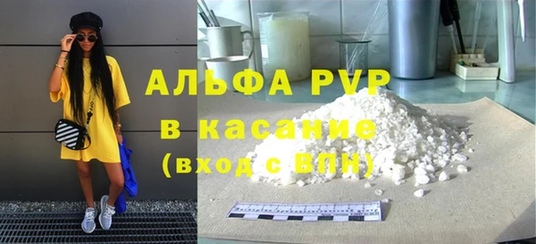 ГАЛЛЮЦИНОГЕННЫЕ ГРИБЫ Вяземский