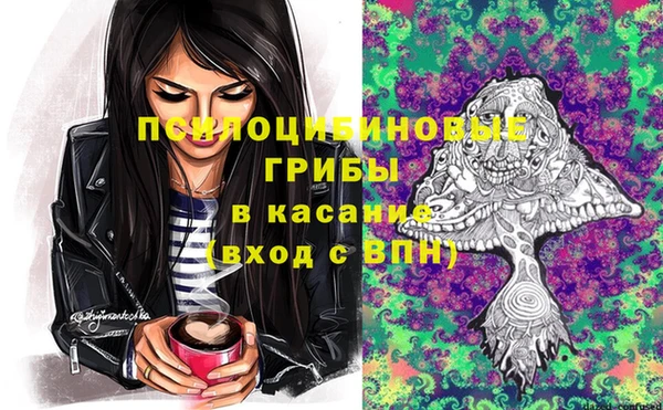 ПСИЛОЦИБИНОВЫЕ ГРИБЫ Вязьма