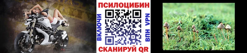 Галлюциногенные грибы мухоморы  что такое наркотик  Волгодонск 